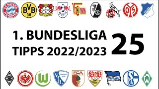 Bundesligatipps 1.Liga - 25.Spieltag - Saison 2022/2023