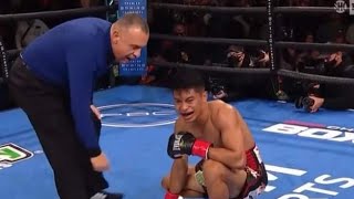 Nonito Donaire knocks out Reymart Gaballo in Round 4! | Round 4 highlights