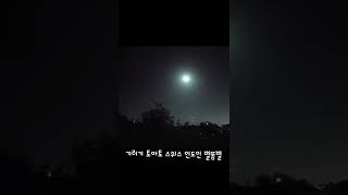 기러기 토마토 스위스 인도인 별똥별