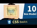 CSS Tutorial — Box Model (10/13)
