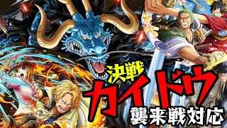 トレクル/決戦カイドウ襲来戦対応/OPTC