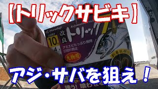 【トリックサビキ】を使って【茨城県波崎】で【アジ】・【サバ】を釣りたい！