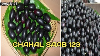 ਸੁਣੋ ਜਾਮਣ ਖਾਣ ਦੇ ਫਾਇਦੇ || Black berry||Jaman de faide @chahalsaab123 Desi Nukte #tranding