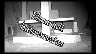 Elmaradt hátmasszázs.Lapítós patkány csapda. Rat trap.MINOX DTC550