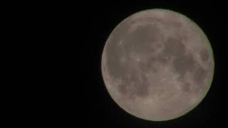 Buck Supermoon 13-14/07/2022