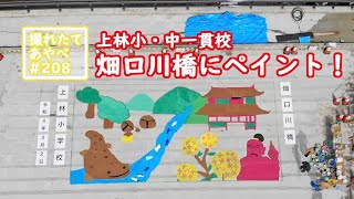 撮れたて あやべ第208回「畑口川橋ペイントイベント」