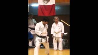 naka sensei - Bassai dai