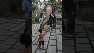 Meenadu vinayakanum renjunteyum koode#elephant #love #annapremi #ytshorts