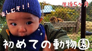 【生後5ヶ月】初めての動物園でまさかの熟睡⁉︎　【帰省／家族DAY】