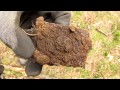 wwii metal detecting third reich relic hunting waffen ss and polizei on the eastern front