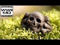 WWII Metal Detecting - Third Reich Relic Hunting - Waffen SS and Polizei on the Eastern Front