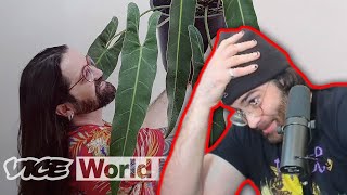 Hasanabi Reacts to This Plant Costs $14,000 — And People Are Stealing It | VICE