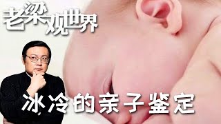 FULL【老梁觀世界】第二季 第八十期：冰冷的親子鑒定丨男人做親子鑒定看是不是親生，女的為啥也去做?