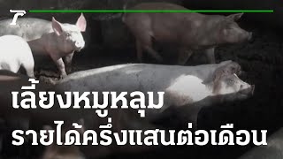 เกษตรทำเงิน : เกษตรกรเลี้ยงหมูหลุม ขายตัว-ดินขี้หมู สร้างรายได้ | 14-01-66 | ตะลอนข่าวสุดสัปดาห์