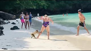 Getting Robbed in Monkey Beach, Ko Phi Phi Island | Monkey Attack l Thailand Travel Video