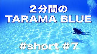 【２分間のTARAMA BLUE】まじ綺麗！！透明度が視力を超えました！