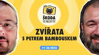 Škoda to nechytit 36-2023: Zvířata s Petrem Bambouskem