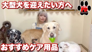 【大型犬】買って良かったケア用品おすすめ！