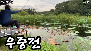 폭우 속에서 붕어가 보고싶다 / Korea Fishing TV