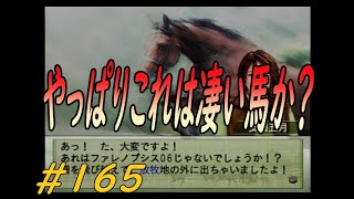 ウイニングポスト７　最新作じゃなくても楽しいよ(笑)　＃１６５　ファレノプシスの子供がイベント起こしまくり！！やっぱりスーパーホース！？