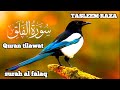 Surah Al-Falaq | I'm Best Muslim | Beautiful Quran Recitation | Quran Tilawat | Tasleem Raza