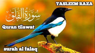 Surah Al-Falaq | I'm Best Muslim | Beautiful Quran Recitation | Quran Tilawat | Tasleem Raza