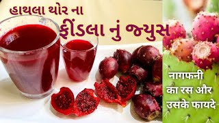 prickly pear juice/cactus fruit juice/Hathla thor nu juice/Nagfani juice/Nagfani ke fayde