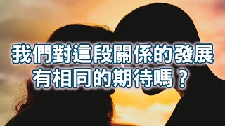 【Elaine的塔羅 - 愛情篇】我跟TA對於這段關係未來發展的打算是相同的嗎？(曖昧/關係中)