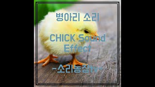 [ASMR]병아리 소리 - CHICK Sound Effect(소리농장tv) / 5분