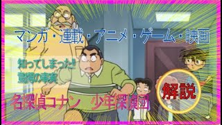 名探偵コナン　解説/この組織を知ることで100倍構造がみえる少年探偵団