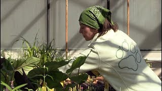 University of Delaware Botanic Gardens Annual Plant Sale