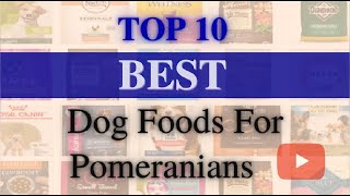 Top 10🐶 Best Dog Foods for Pomeranians(UPDATED)