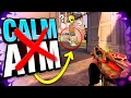 aim components hidden behind calm aim in valorant