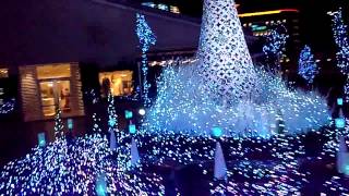 Terracemall Shonan Xmas illumination '12