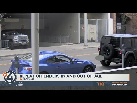 What percent of criminals are repeat offenders?