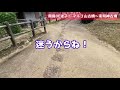 飛鳥de迷子③ マルコ山古墳〜束明神古墳へ