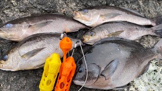 [Oki] A new top basket! I tried night fishing at the beach using a thunder basket #3