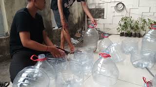 POT TANAMAN DARI BAHAN BEKAS@MAMA_LELA_SERIES @KANGDEDIMULYADICHANNEL @kompascom #fyp #sampah