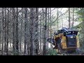 advanced forest equipment ss extreme forestry disc mulcher. mulching hard wood trees