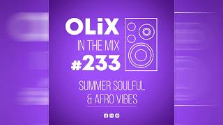 Summer Soulful \u0026 Afro Vibes (august 2024)