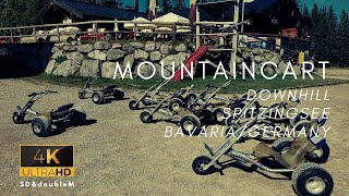 Mountaincart downhill//Spitzingsee//Bavaria//Germany