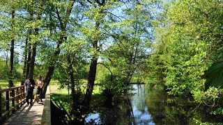 Unser Naturparkfilm - Sehenswertes vom Naturpark Schwalm-Nette