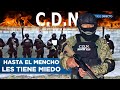 El LETAL CÁRTEL DEL NORESTE: Por esto ni el Cártel de Sinaloa, ni el CJNG se Atreven a Enfrentarlos