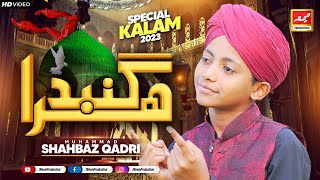 Hara Gumbad Jo Dekhoge | Heart Touching Naat | Muhammad Shahbaz Qadri | Meem Production