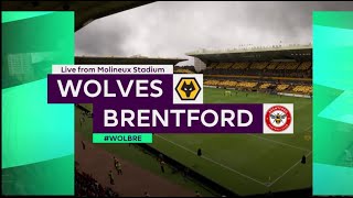 Wolves vs Brentford