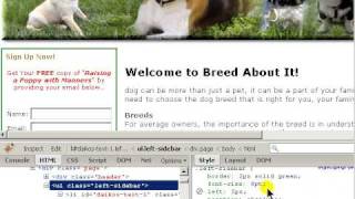 Firebug for Firefox - Demo