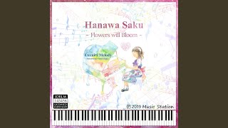 Hanawa Saku