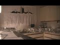 cat vs counter top tin foil