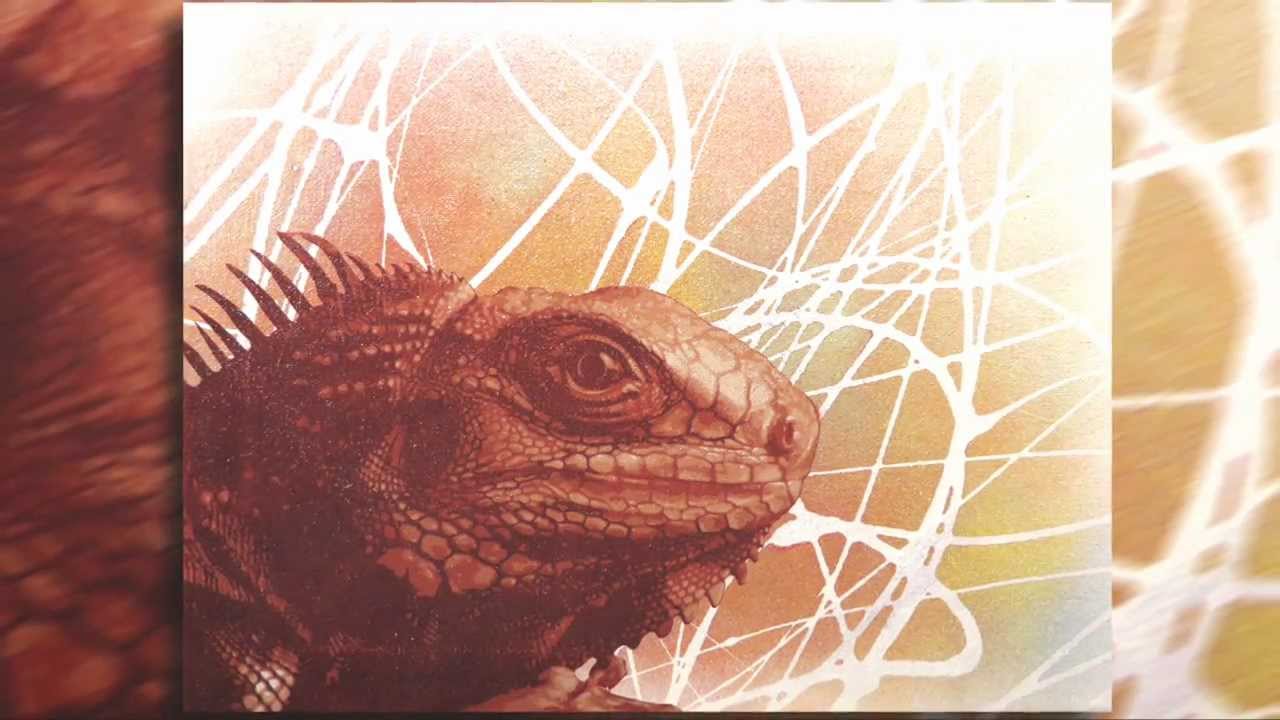 Stencil Art "Epic Iguana" By BASE45 - YouTube