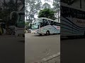 po pahala kencana,bus telolet #ytshorts #pahalakencana #bustelolet